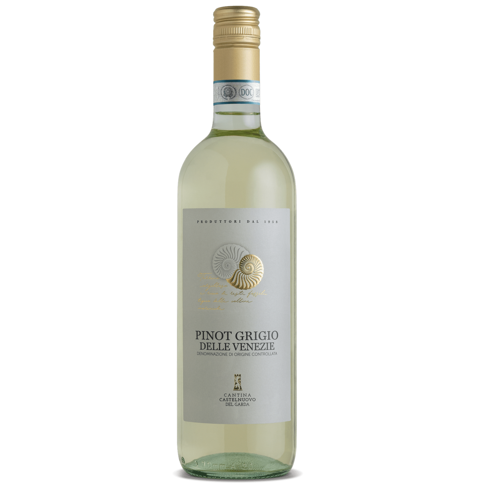 Pinot Grigio DOC delle Venezie Cantine Castelnuovo del Garda